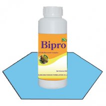 بيبرو Bipro
